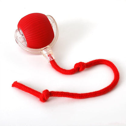 Interactive Cat Toys – image 10