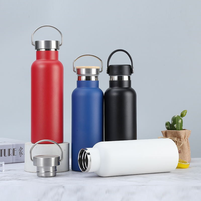 Stainless Steel Water Bottle, Insulated Water Bottle with Handle, 16.9 fl oz Reusable Water Bottle for Travel