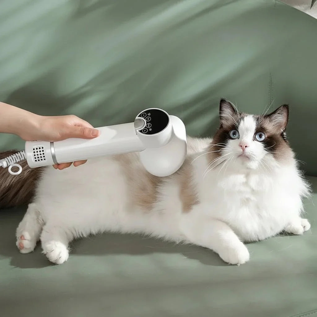 Dog Hair Dryer for Dog Grooming