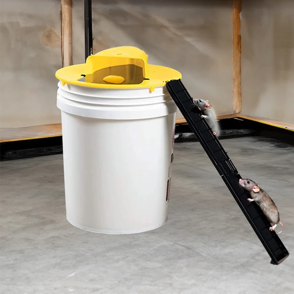 Humane Mouse Trap, Bucket Mouse Trap with Automatic Reset and Ladder, Live Rat Trap for Mice and Rats