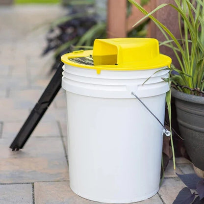 Humane Mouse Trap, Bucket Mouse Trap with Automatic Reset and Ladder