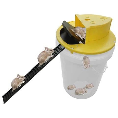 Humane Mouse Trap, Live Rat Trap for Mice and Rats – image 5