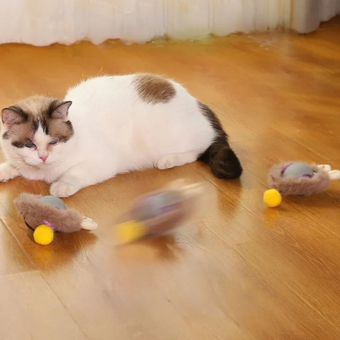 Automatic Cat Ball with Tail – image 5