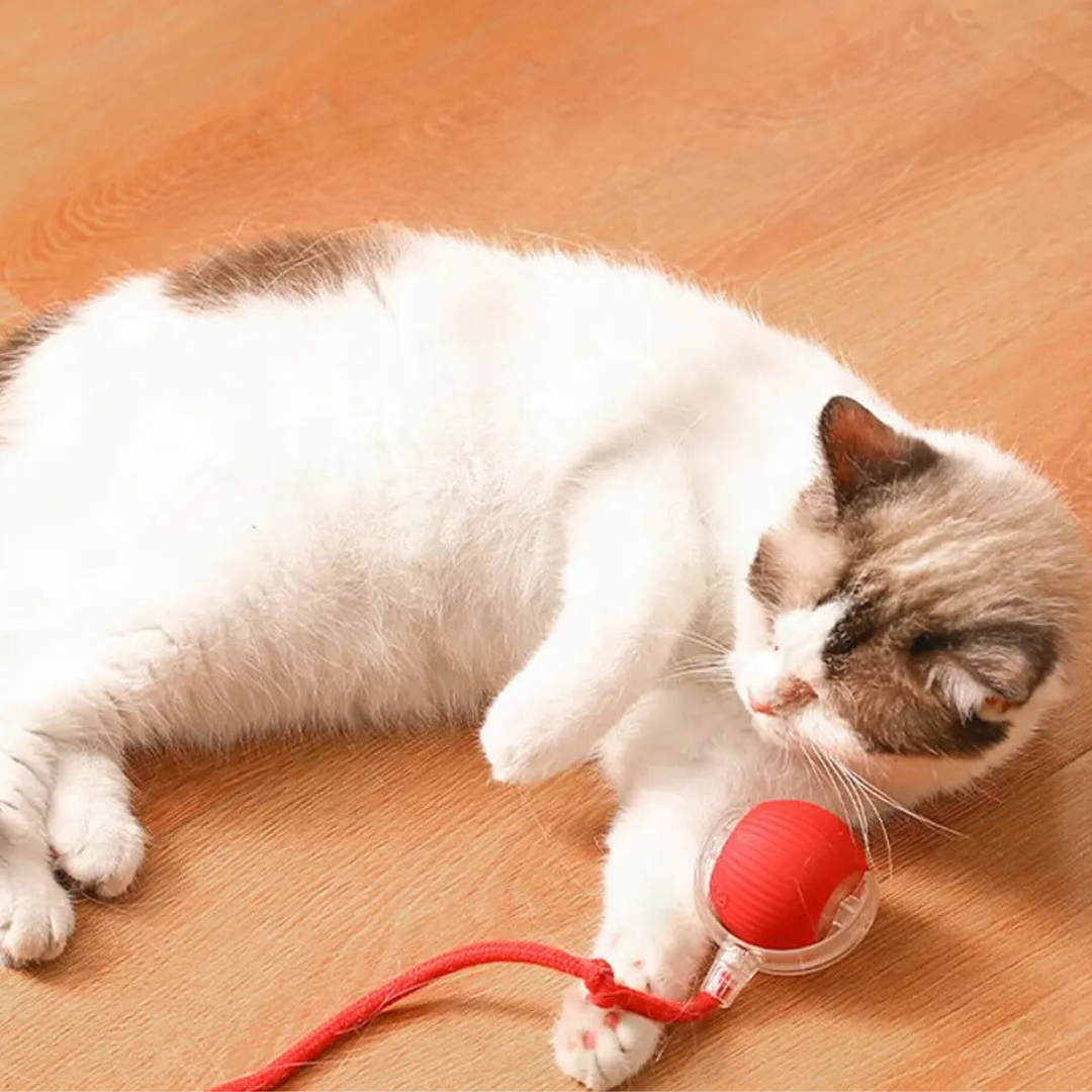 Interactive Cat Toys, Automatic Cat Ball with Tail