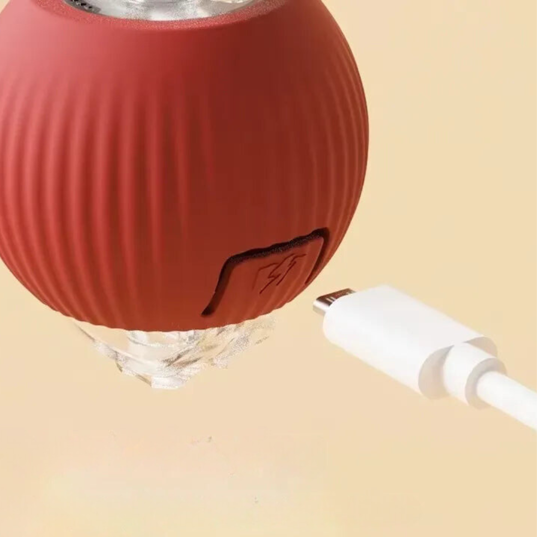Interactive Cat Toys, Automatic Cat Ball with Tail – image 8