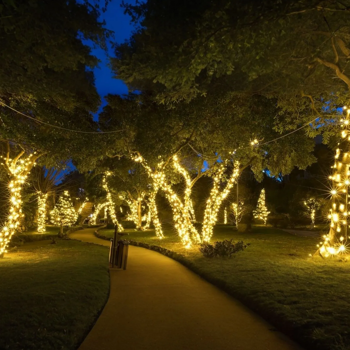 Solar Fairy Lights, Solar Lights Outdoor – image 12